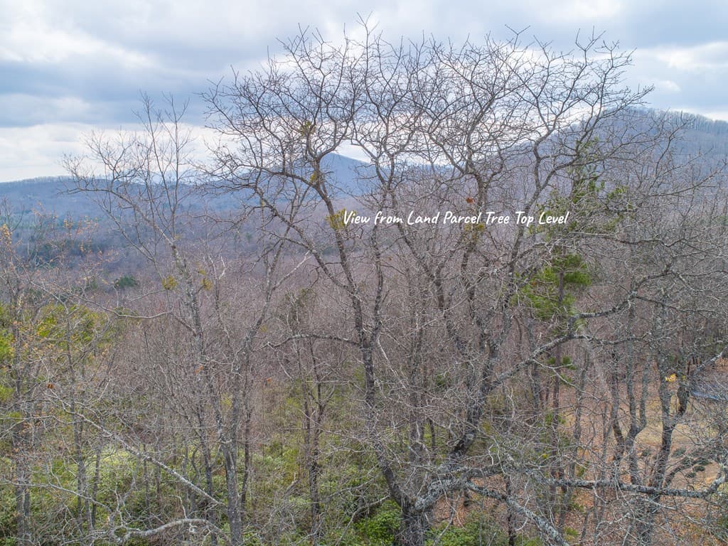 Lot 33 Laurel Brooke S/D, Blairsville GA 30512 - Photo