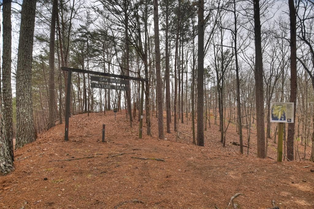 144 Emerald Cove Drive, Ellijay GA 30540 - Photo