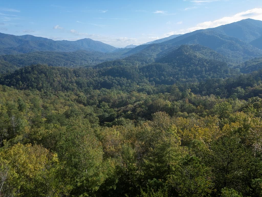 1316 Junaluska Road, Andrews NC 28901 - Photo