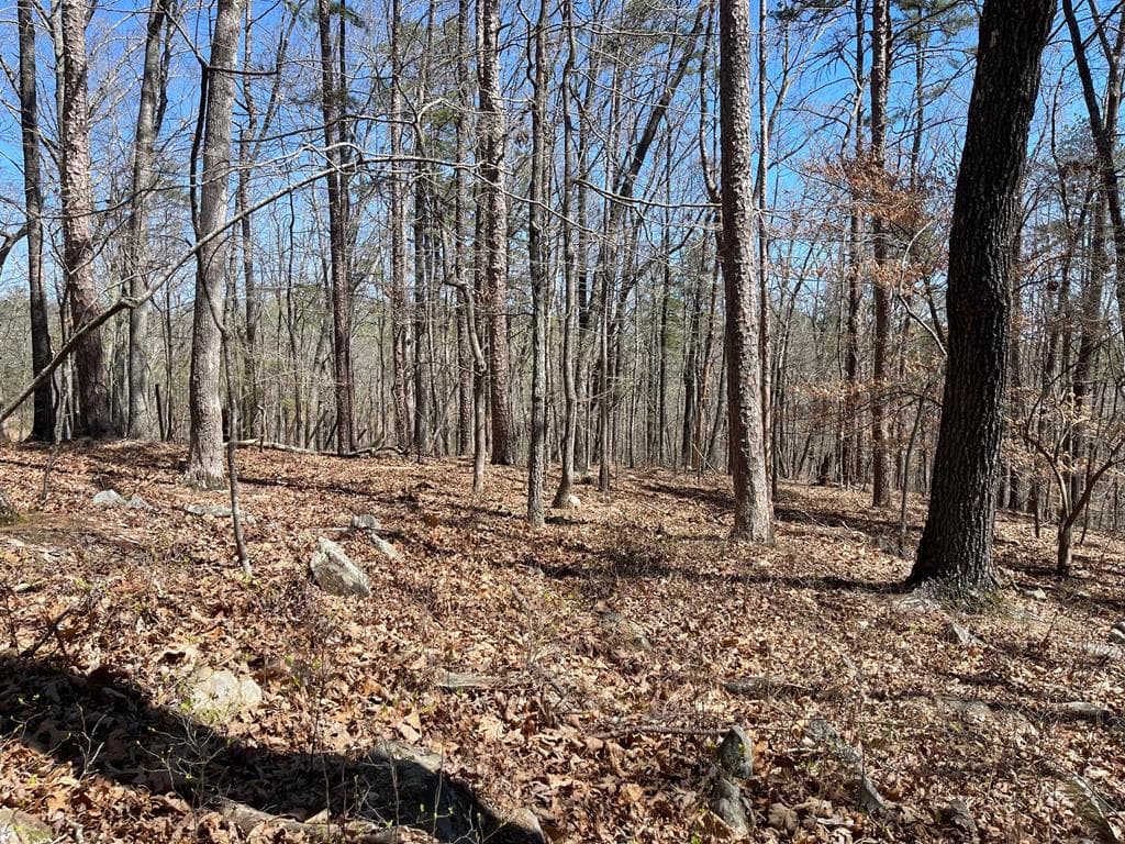 Lot 10 Olivia Lane, Ball Ground GA 30107 - Photo