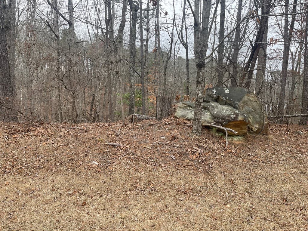 Lot 10 Olivia Lane, Ball Ground GA 30107 - Photo