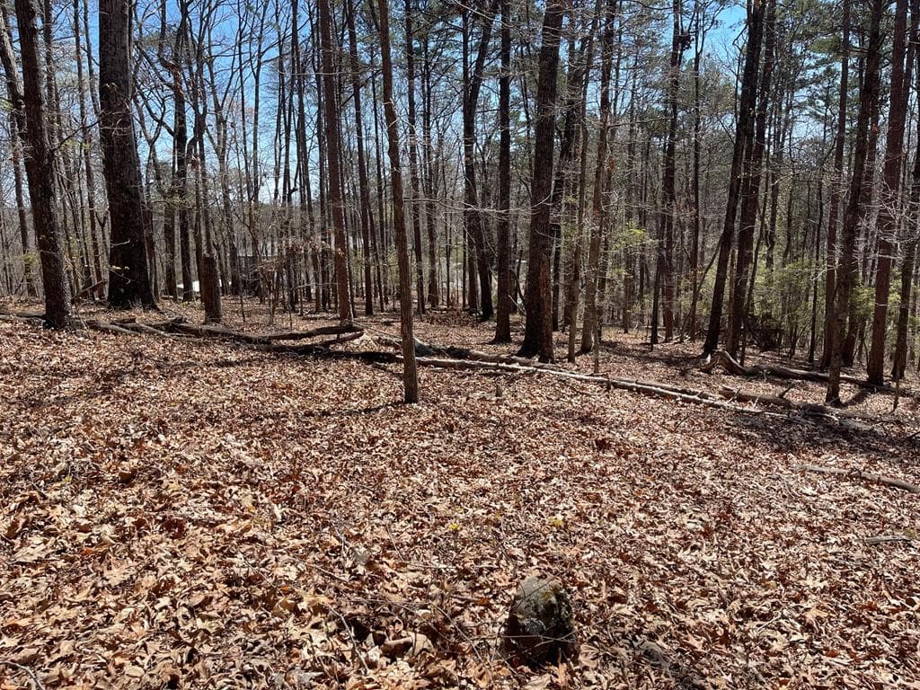 Lot 10 Olivia Lane, Ball Ground GA 30107 - Photo