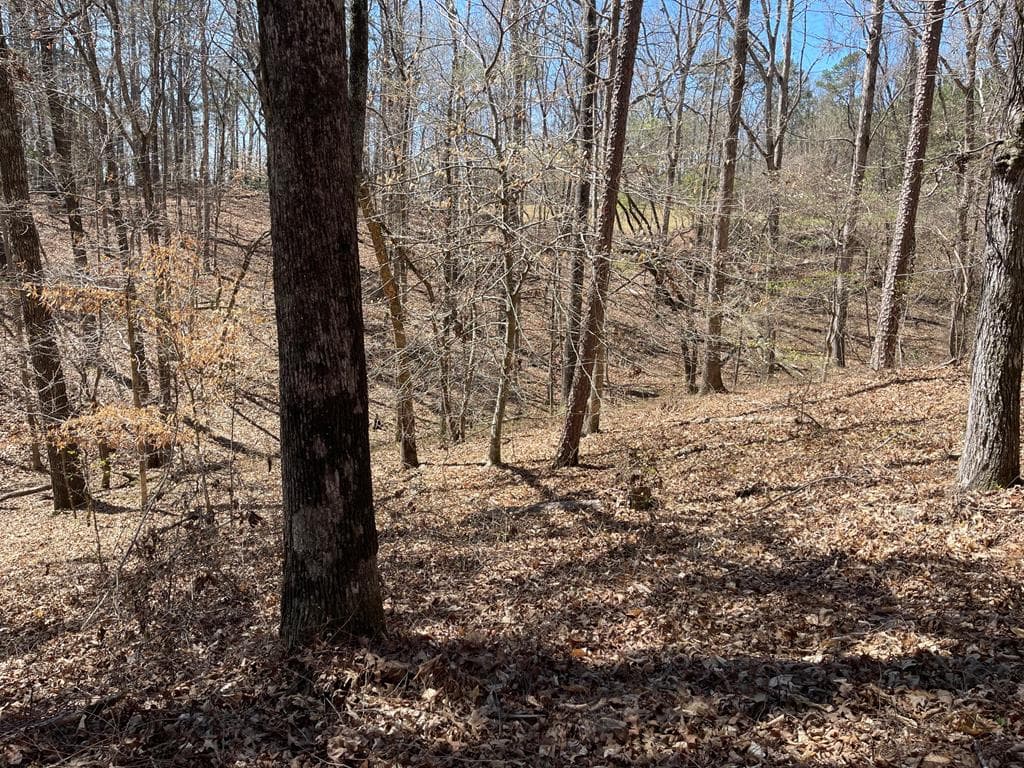Lot 10 Olivia Lane, Ball Ground GA 30107 - Photo