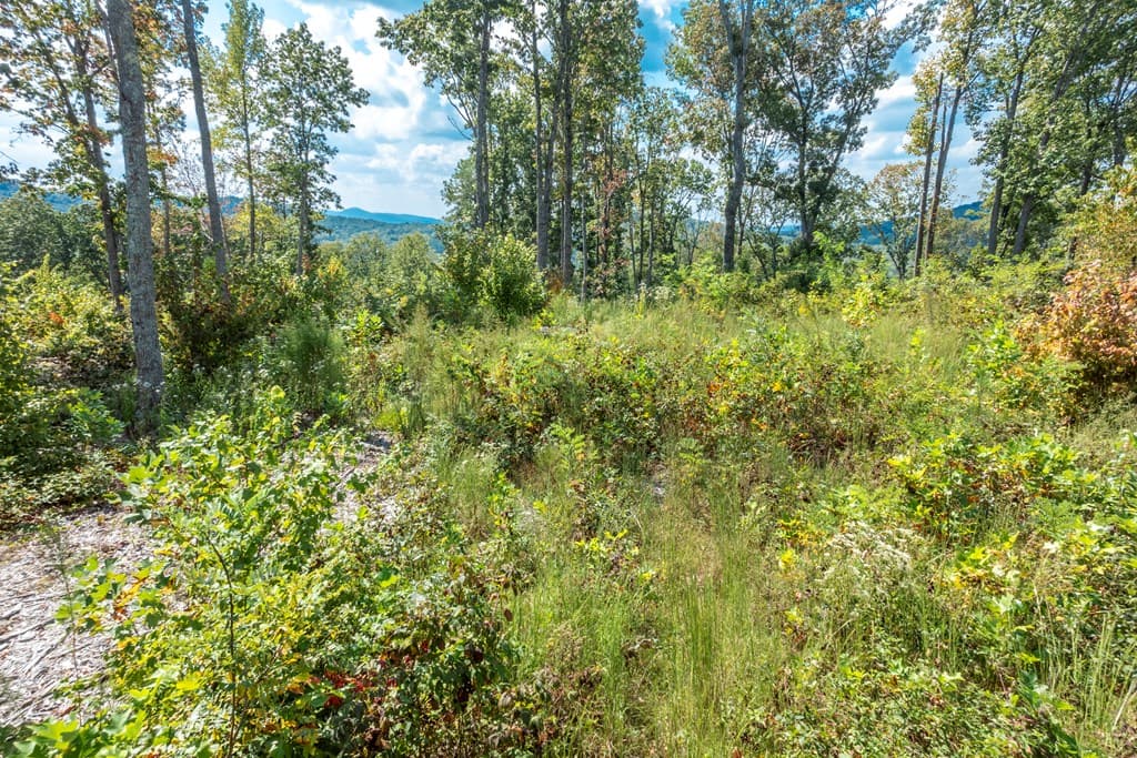 0 Highgrove Drive, Talking Rock GA 30175 - Photo