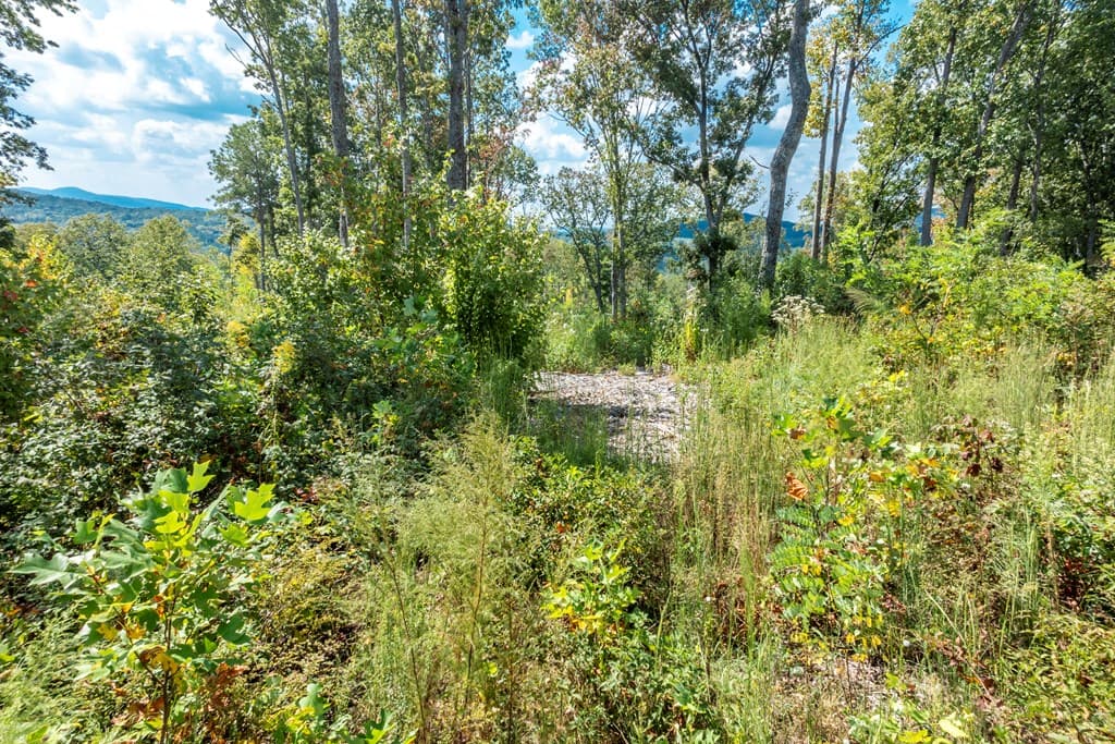 0 Highgrove Drive, Talking Rock GA 30175 - Photo