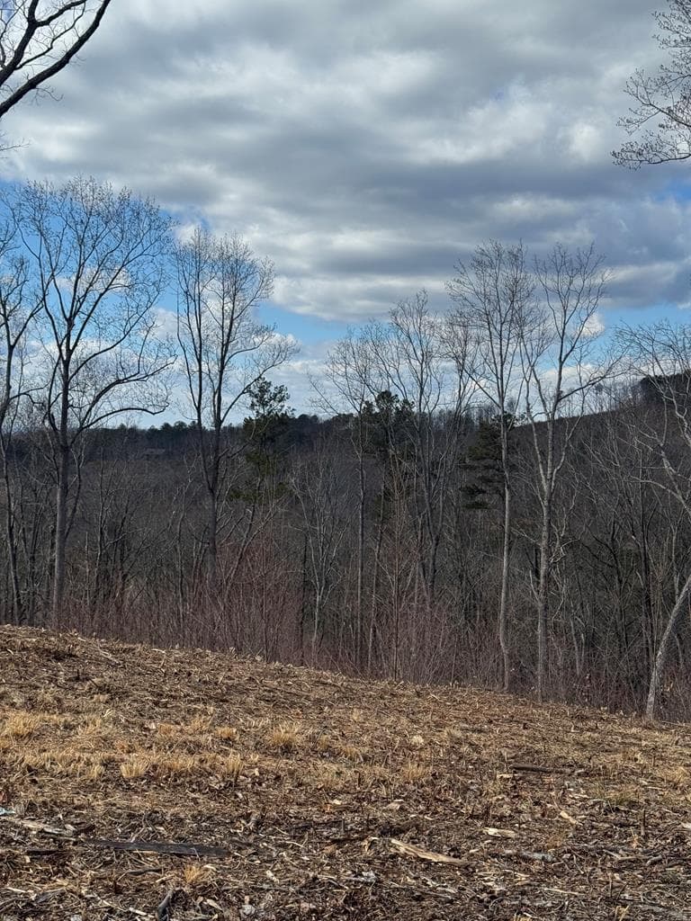 0 Highgrove Drive, Talking Rock GA 30175 - Photo