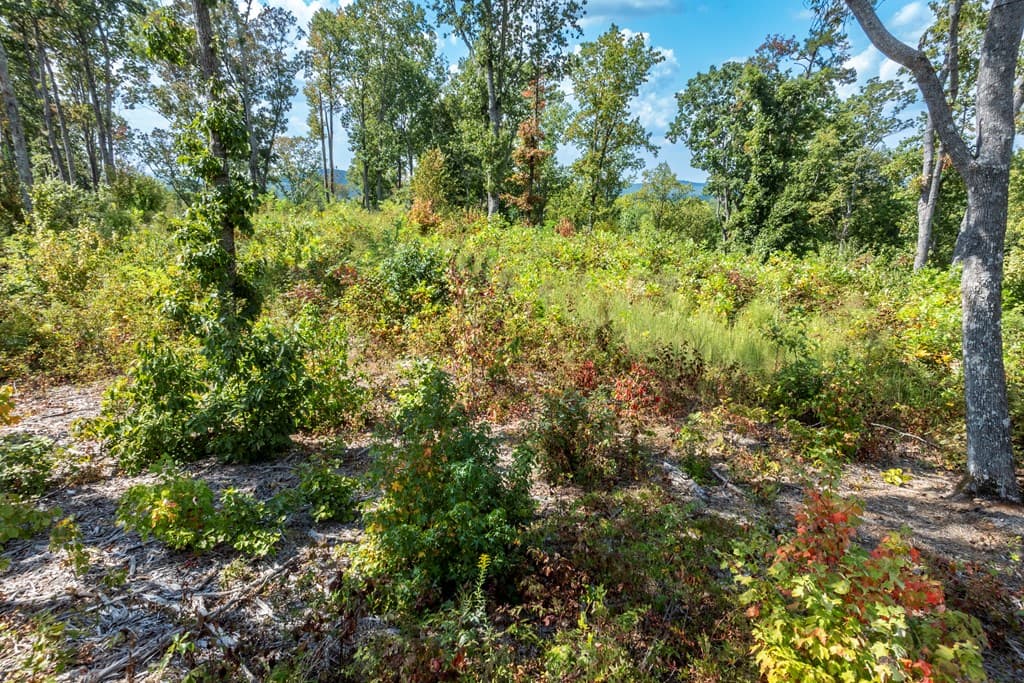 0 Highgrove Drive, Talking Rock GA 30175 - Photo