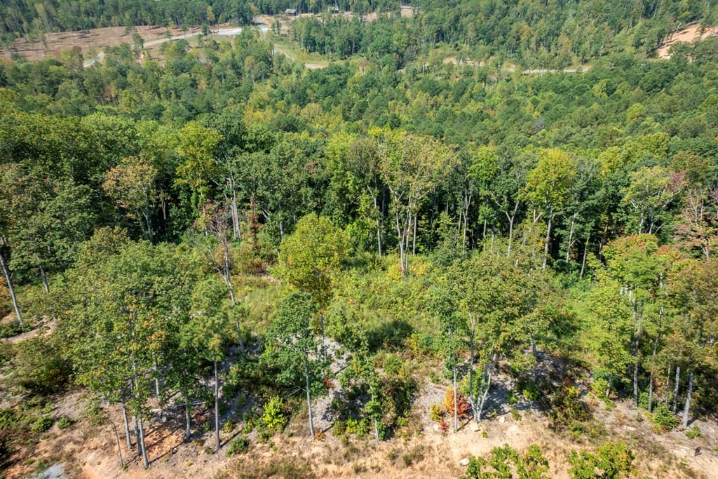 0 Highgrove Drive, Talking Rock GA 30175 - Photo