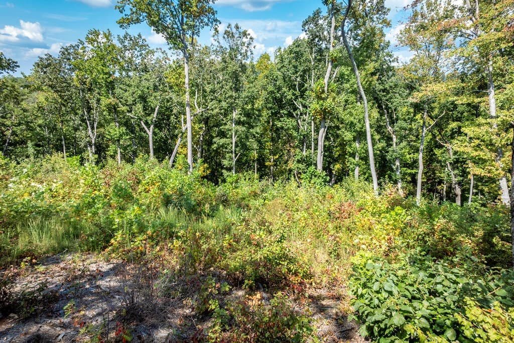 0 Highgrove Drive, Talking Rock GA 30175 - Photo