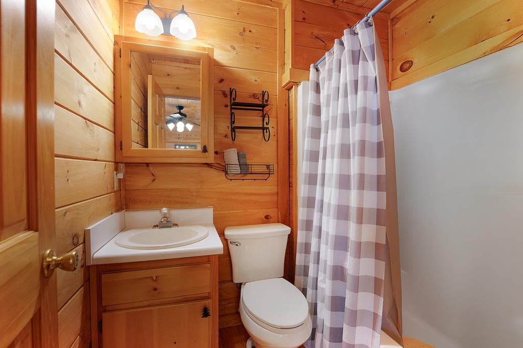 173 Mountain Laurel Lane, Ellijay GA 30536 - Photo