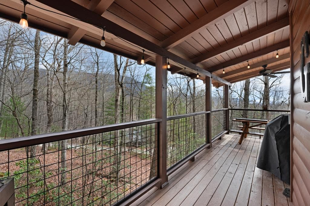 173 Mountain Laurel Lane, Ellijay GA 30536 - Photo