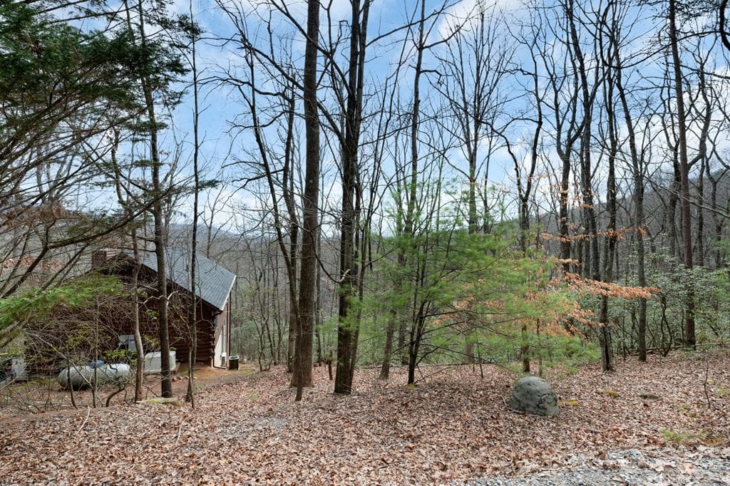 173 Mountain Laurel Lane, Ellijay GA 30536 - Photo