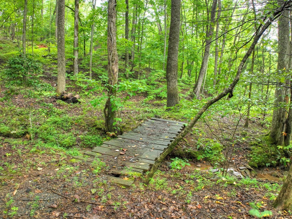 430 Chestnut Ridge, Blue Ridge GA 30513 - Photo