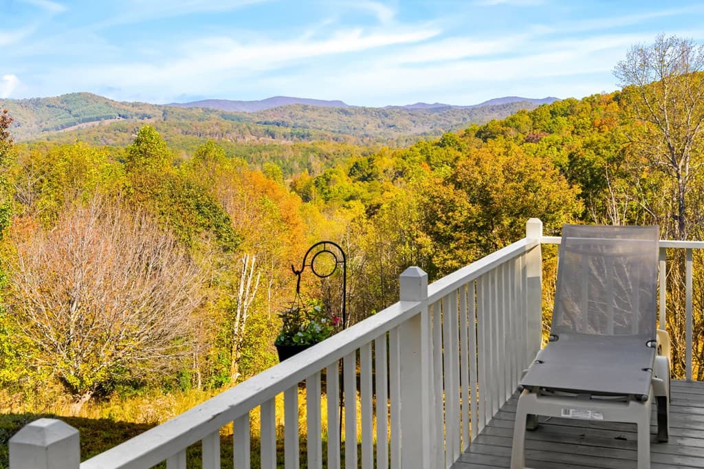 295 White Oak Drive, Warne NC 28909 - Photo