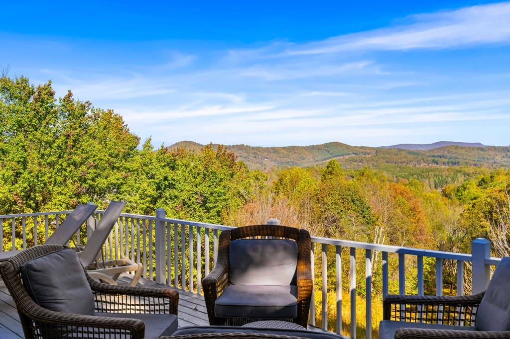 295 White Oak Drive, Warne NC 28909 - Photo