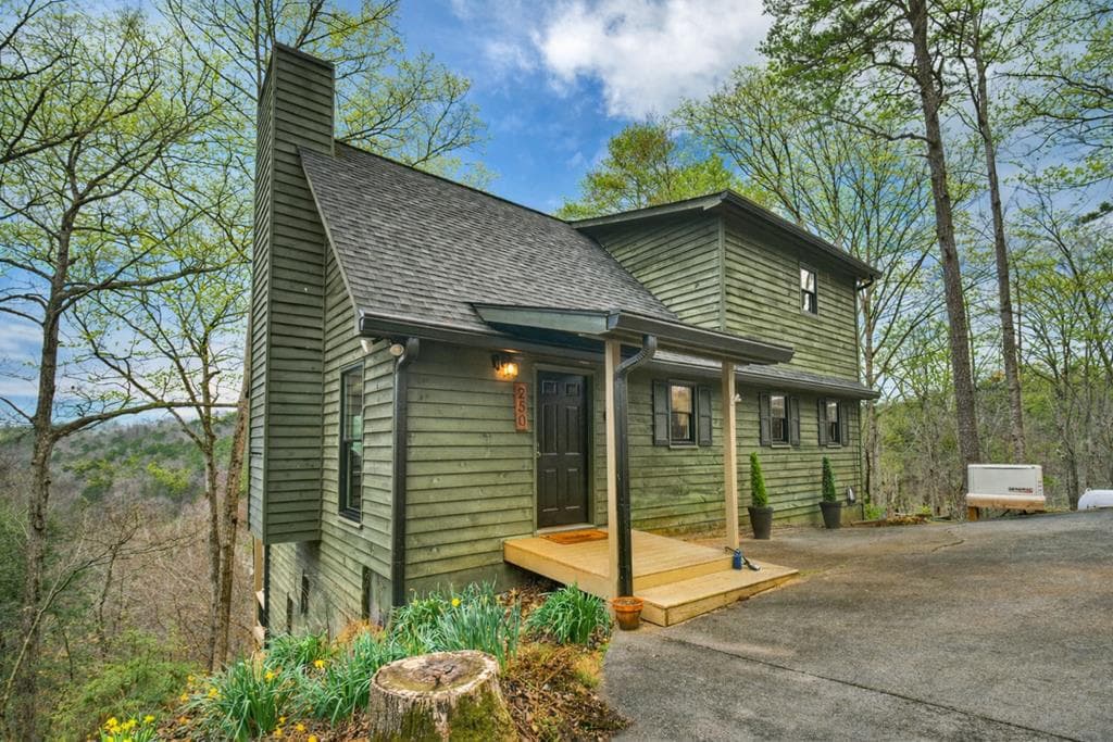 250 Noah Circle, Ellijay GA 30540 - Photo