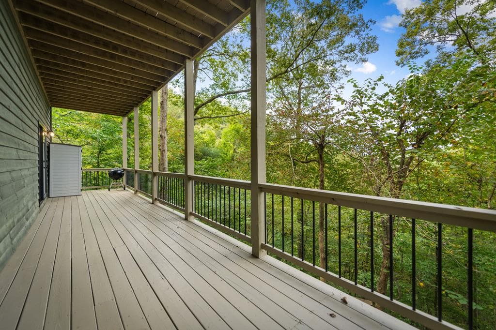 250 Noah Circle, Ellijay GA 30540 - Photo