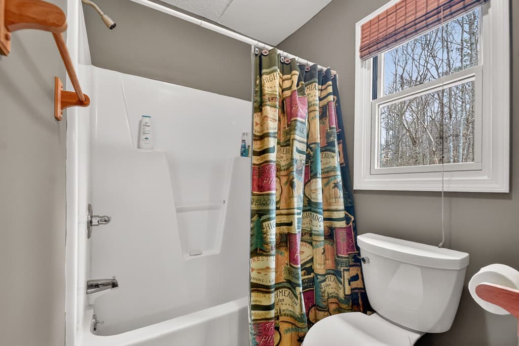 250 Noah Circle, Ellijay GA 30540 - Photo