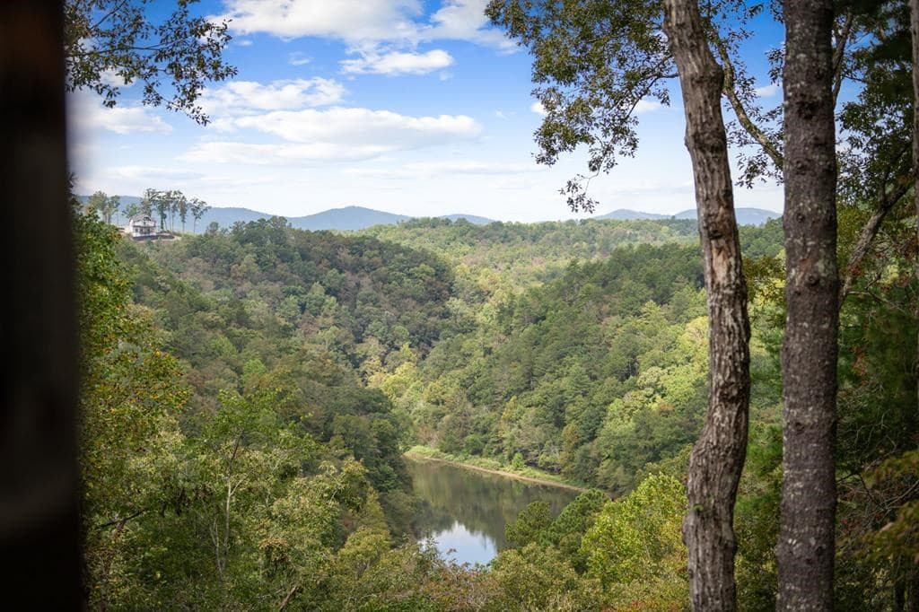250 Noah Circle, Ellijay GA 30540 - Photo