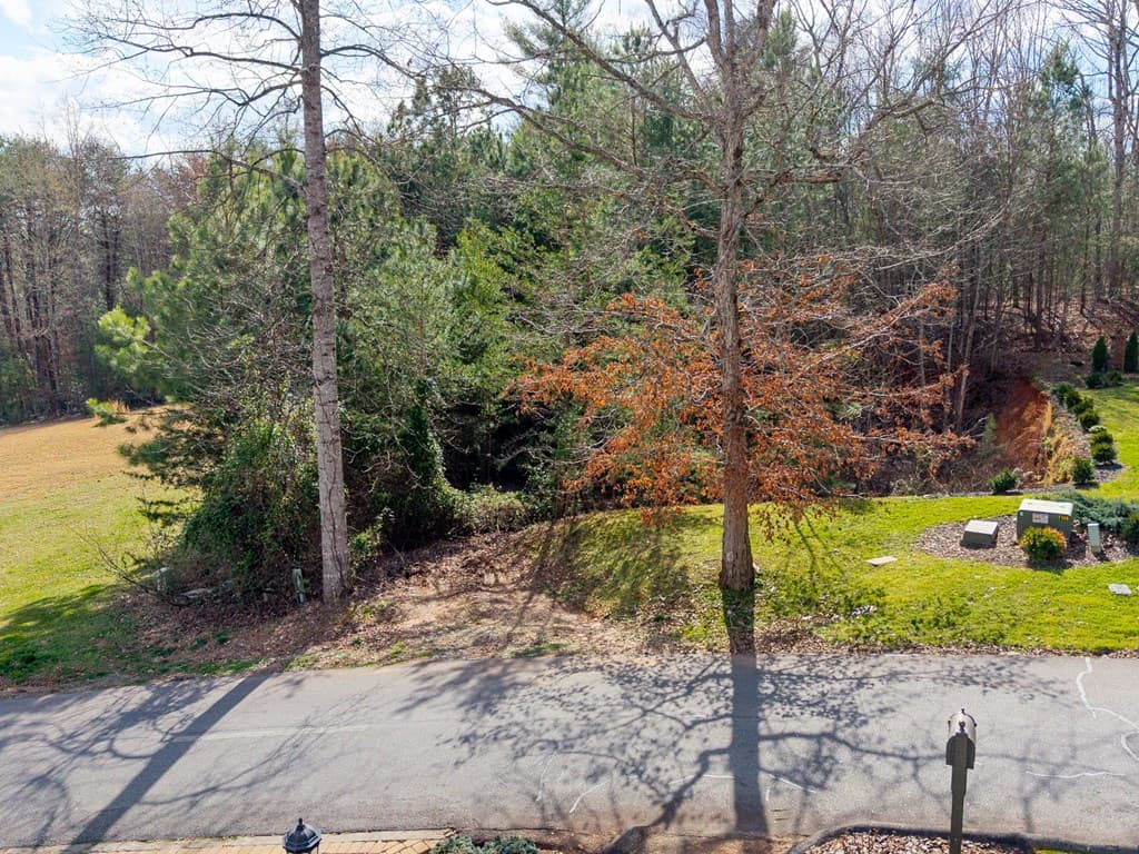 TBD Licklog Ridge, Hayesville NC 28904 - Photo