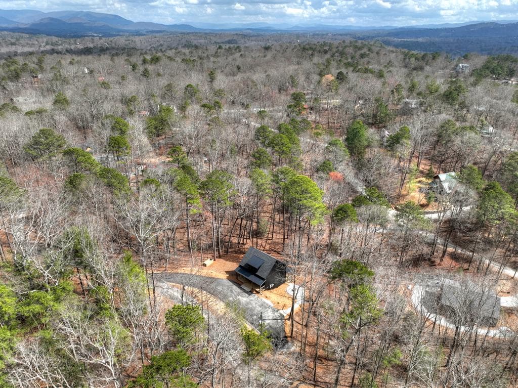 57 Parish Court, Ellijay GA 30540 - Photo