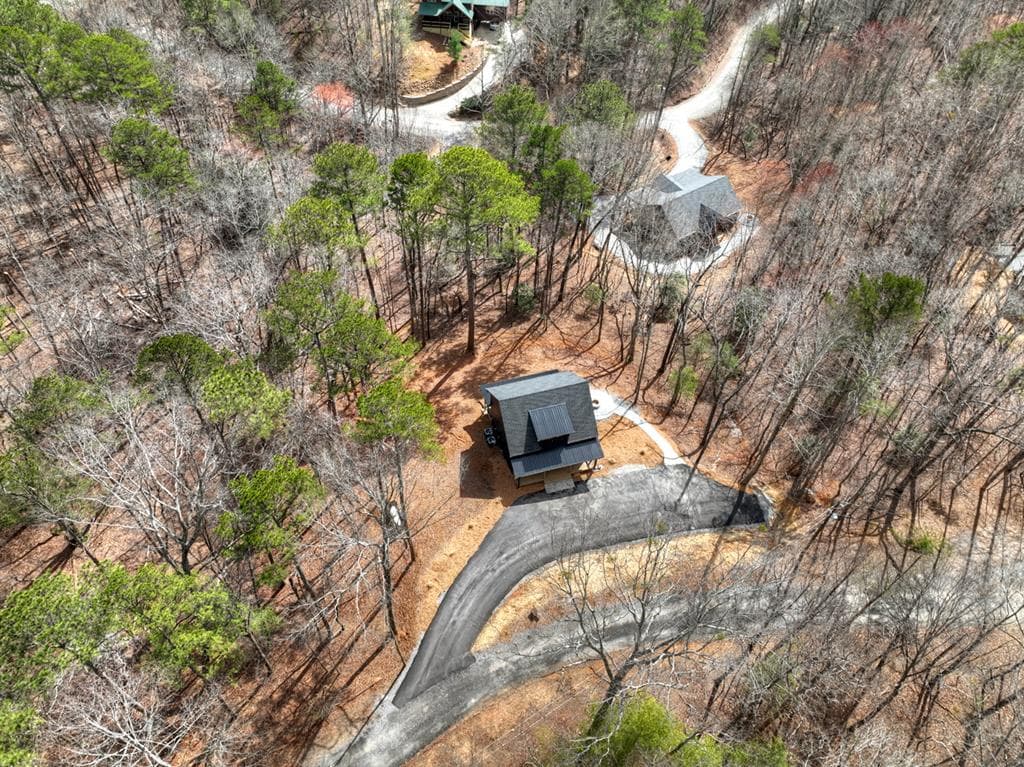 57 Parish Court, Ellijay GA 30540 - Photo