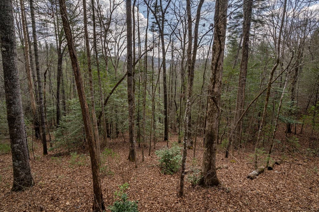79 Serenity Lane, Murphy NC 28906 - Photo