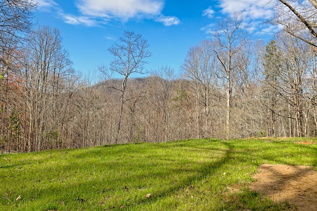 472 Hogsed Drive, Hayesville NC 28904 - Photo