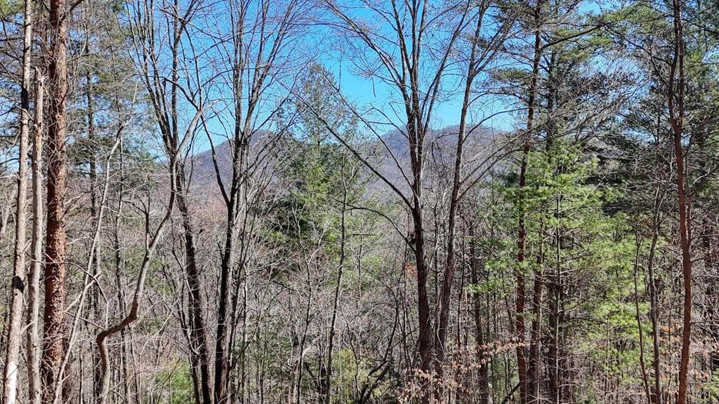 Lot 10 Firefly Ridge Road, Blairsville GA 30512 - Photo