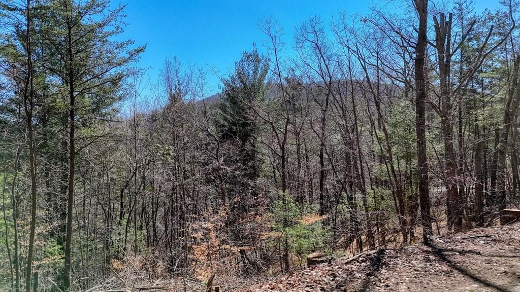 Lot 10 Firefly Ridge Road, Blairsville GA 30512 - Primary photo