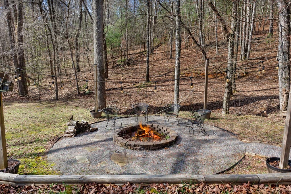 166 Dallas Lane, Blue Ridge GA 30513 - Photo