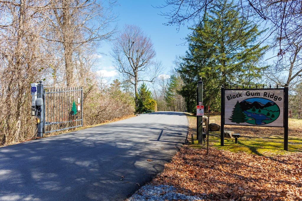 166 Dallas Lane, Blue Ridge GA 30513 - Photo
