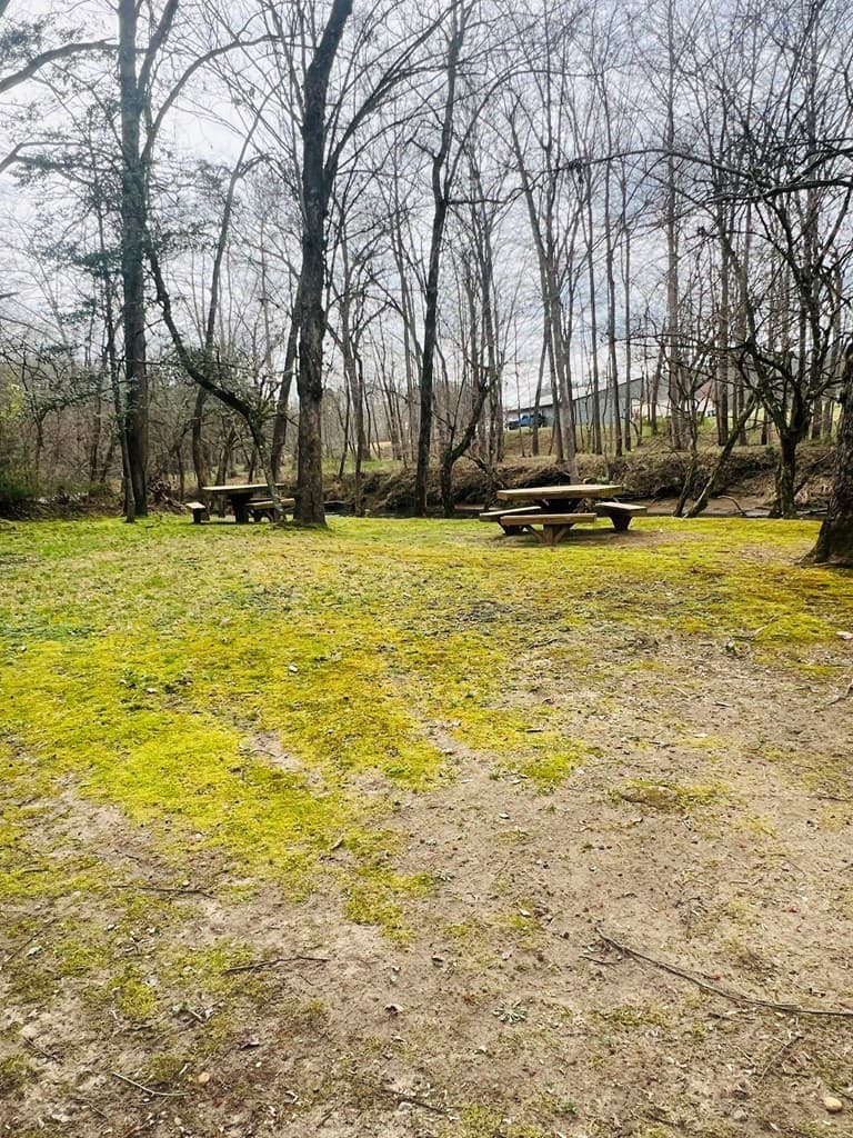 00 Aster Trail, Marble NC 28905 - Photo