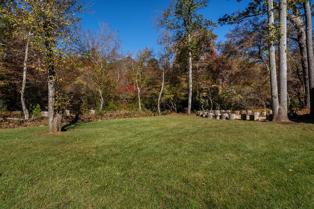 1248 Sunset Road, Epworth GA 30541 - Photo