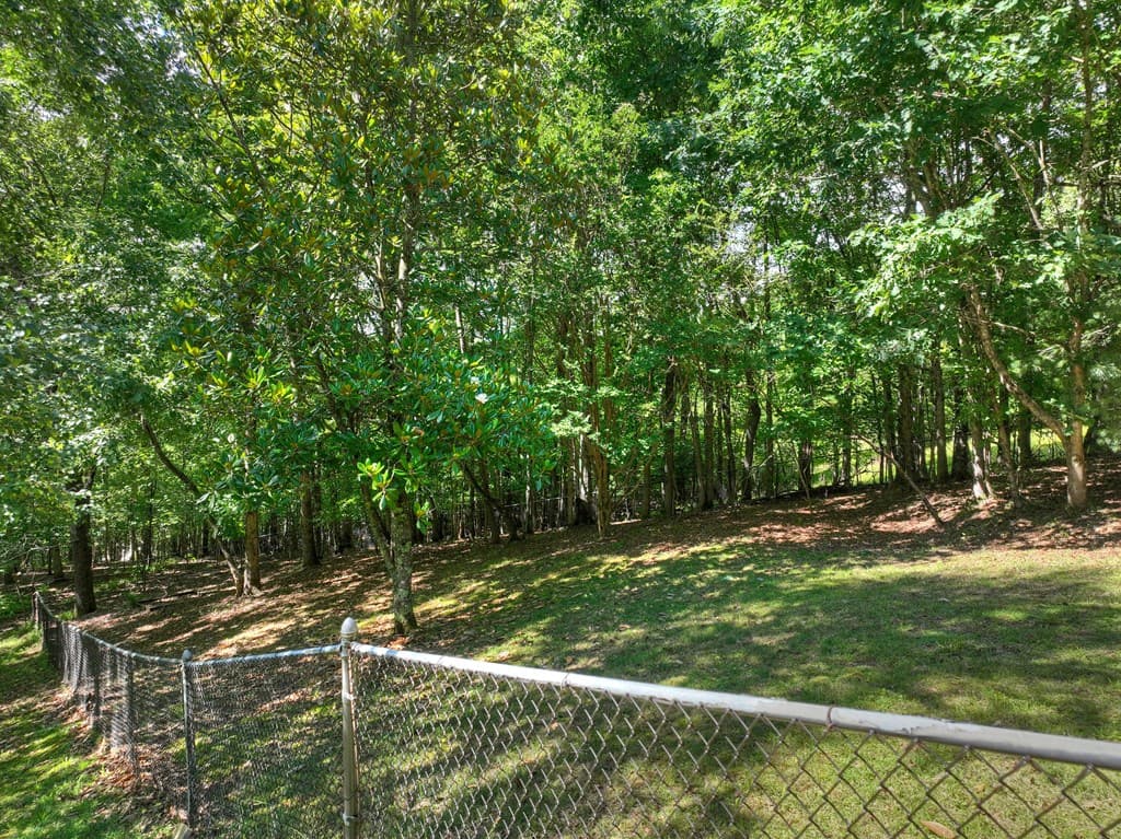 100 Arrow Way, Mineral Bluff GA 30559 - Photo