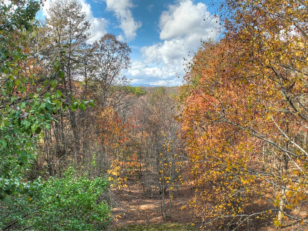 100 Arrow Way, Mineral Bluff GA 30559 - Photo