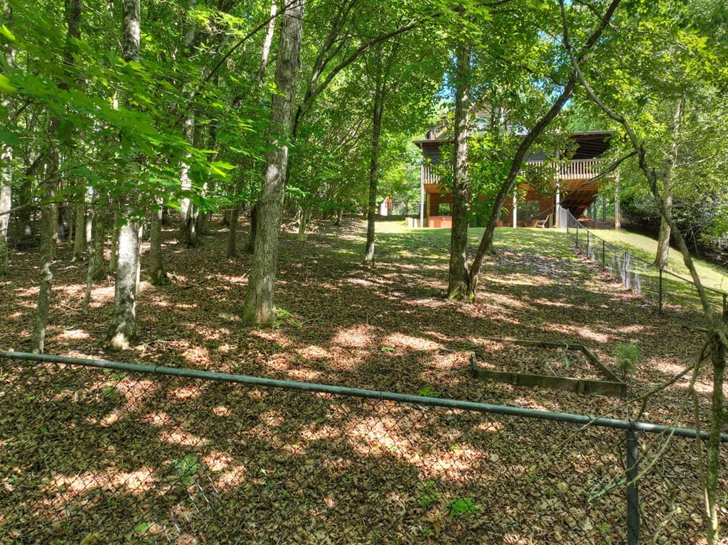 100 Arrow Way, Mineral Bluff GA 30559 - Photo