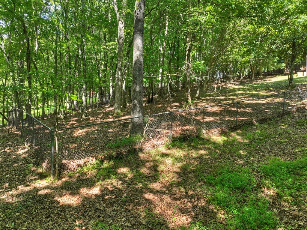 100 Arrow Way, Mineral Bluff GA 30559 - Photo