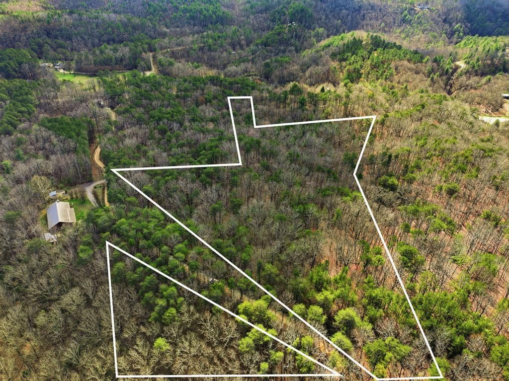 64 Bull Gap Road, Talking Rock GA 30175 - Photo