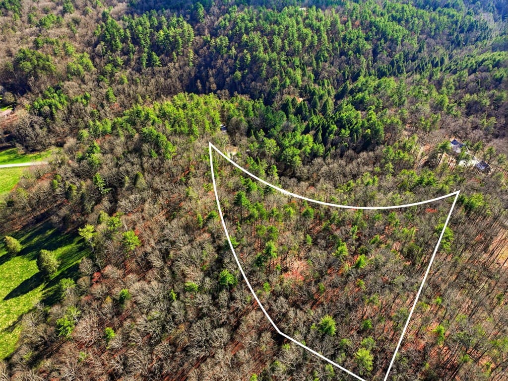 Lot 24 Pickett Mill Lane, Ellijay GA 30540 - Photo