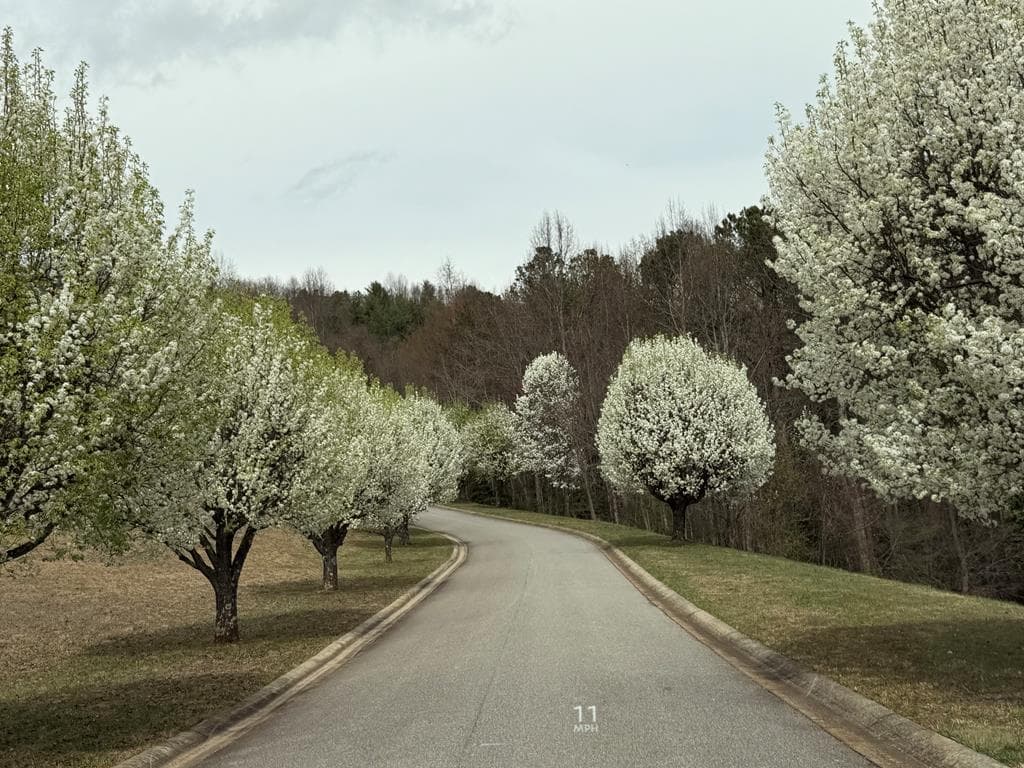 Lot73 Summit Trace, Blairsville GA 30512 - Photo
