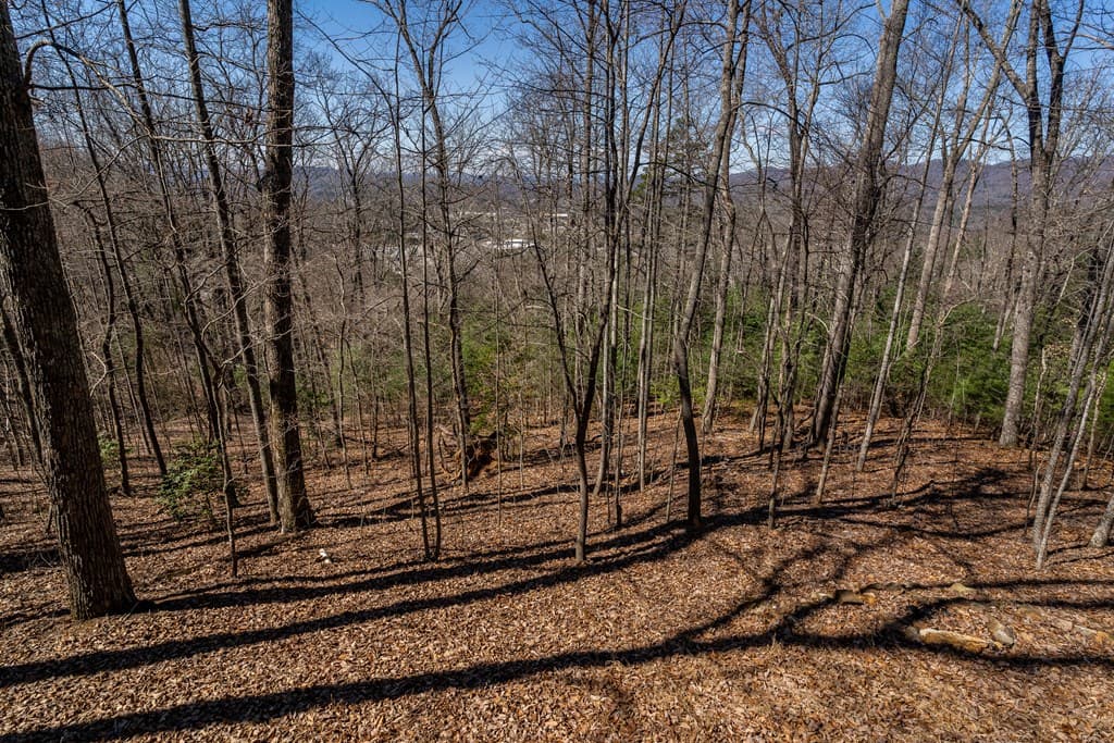 257 Aj's Holler, Blairsville GA 30512 - Photo