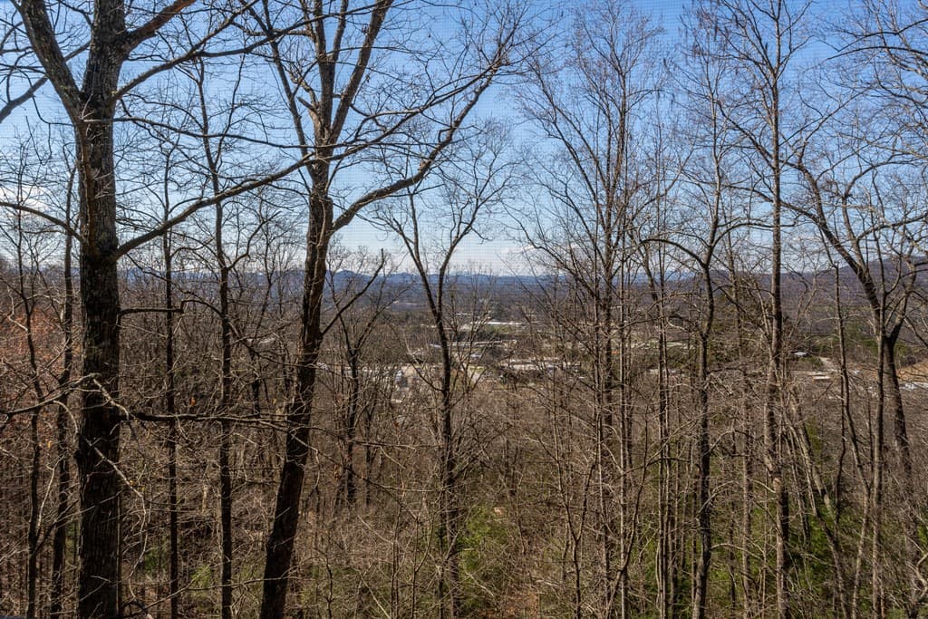257 Aj's Holler, Blairsville GA 30512 - Photo