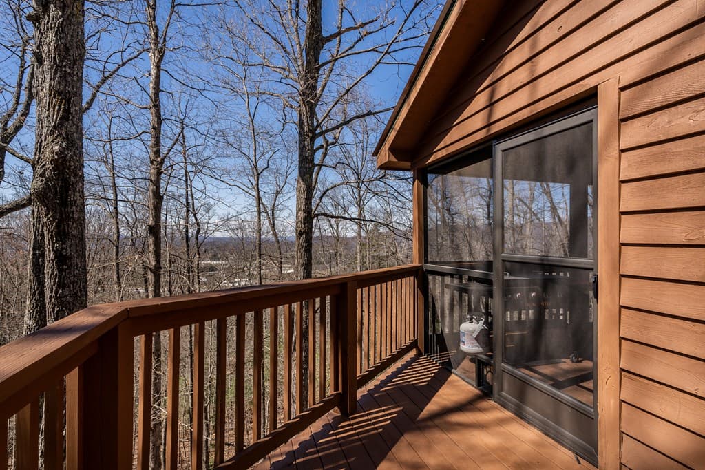 257 Aj's Holler, Blairsville GA 30512 - Photo