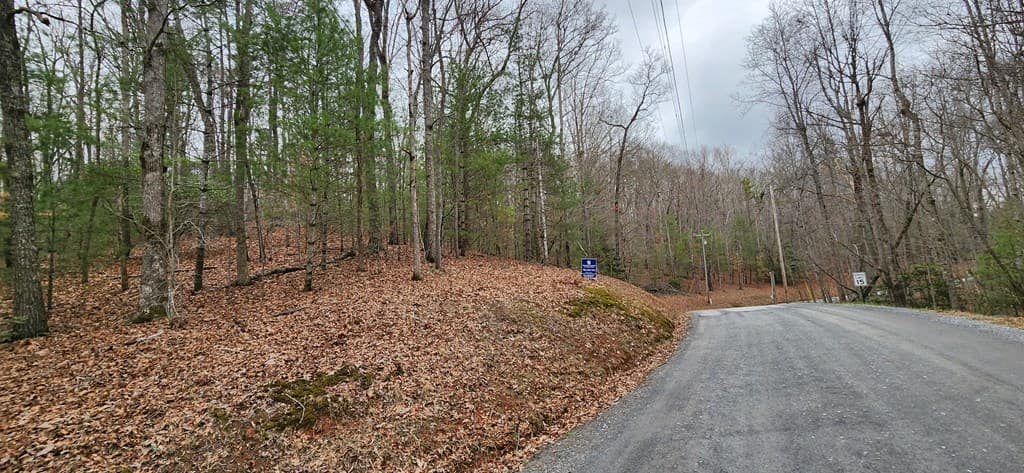 Lot 13 Mangums Pride, Blue Ridge GA 30513 - Photo