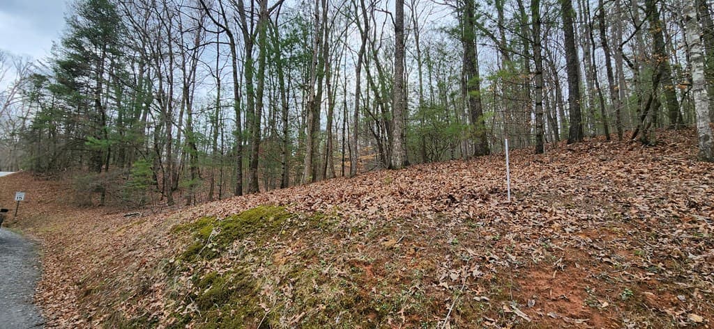 Lot 13 Mangums Pride, Blue Ridge GA 30513 - Photo