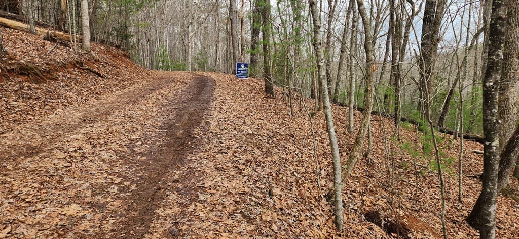 Lot 13 Mangums Pride, Blue Ridge GA 30513 - Photo