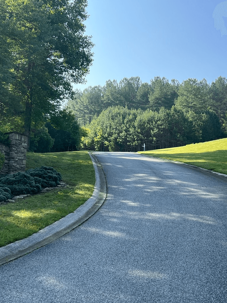 Lot 54 Pinehurst Road, Blairsville GA 30512 - Photo