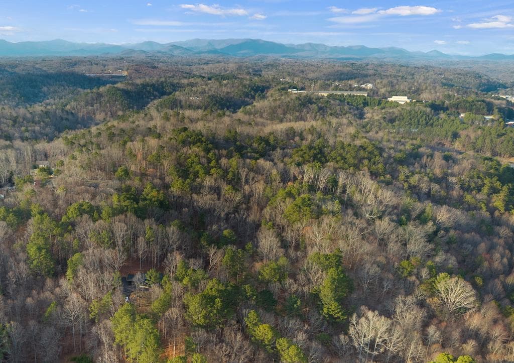 236 Ellington Road, Ellijay GA 30540 - Photo