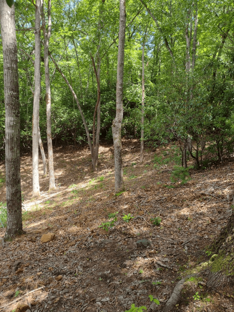 0 Radiant Cove, Brasstown NC 28902 - Photo